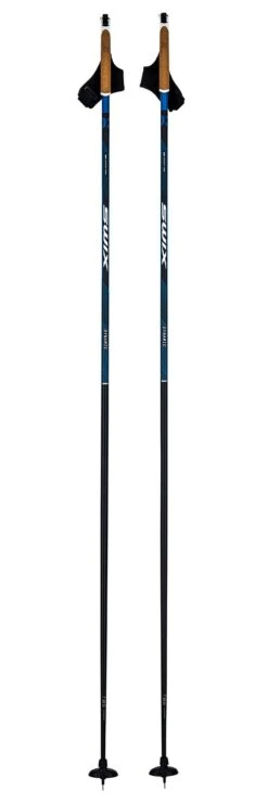 Bâton Fond Swix Dynamic D2