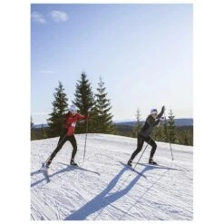 Ski Nordique Madshus Race Pro Skate 12 Ski Nordique Madshus Race Pro Skate -Ski Soldes Boutique 518f08b3a2a56704ba3a962b209dc40a915b4a79 H22MADSSKI185779 902